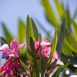 Casa Vacanze Corfu 2